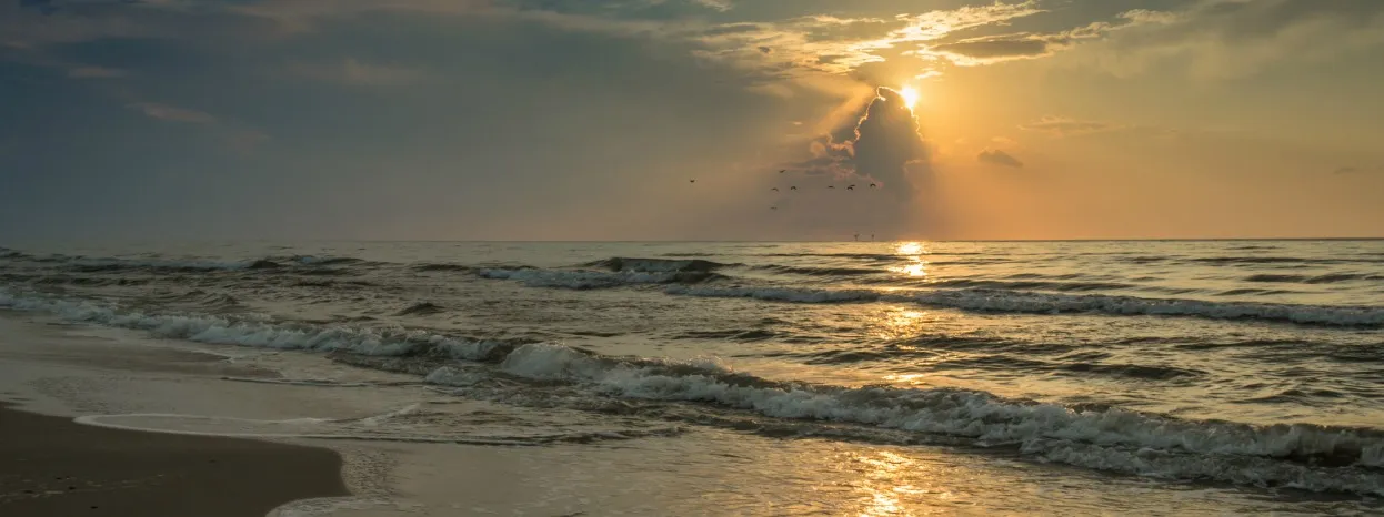 Werden Sie zum Strandmaster von Texas 