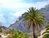 Lugares imprescindibles de Tenerife