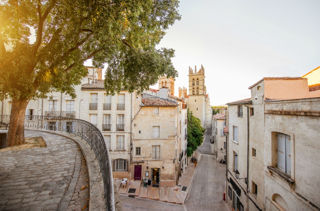 Montpellier : un atelier unique pour créer sa propre peluche