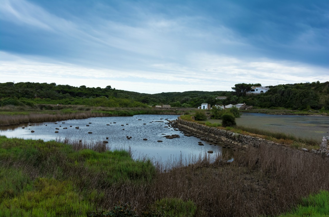 Albufera des Grau