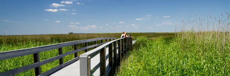 Driving From New Orleans – A Road Trip Through Louisiana
