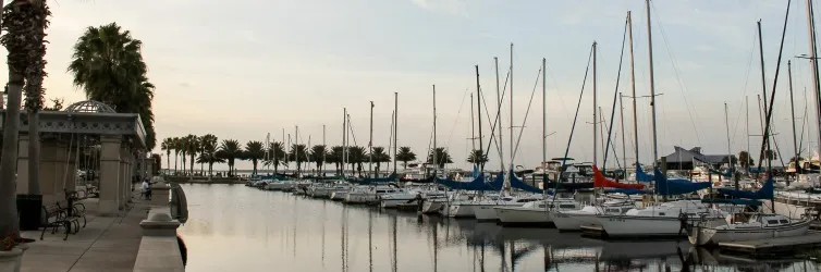 Exploring Sanford
