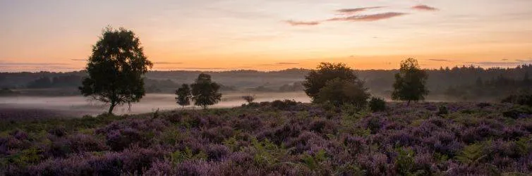 The 10 best day trips from London