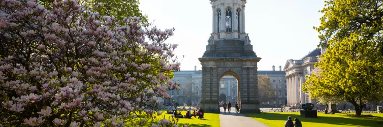 Dublin’s Dining Delights