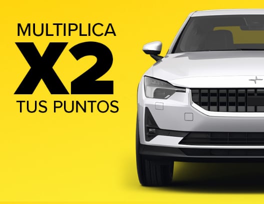 Electric Car Rental