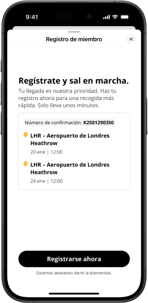 Registro simplificado