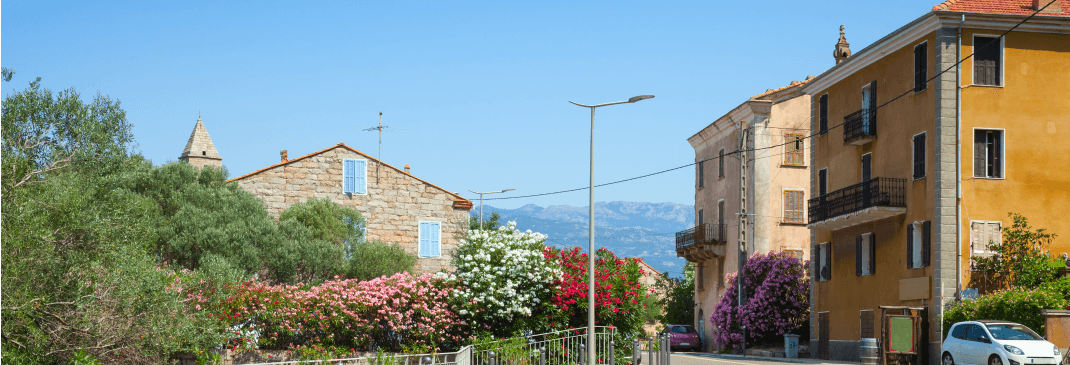 Conduire à Figari