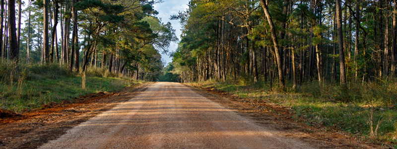 Sam Houston National Forest