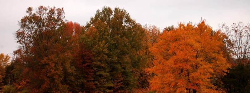 Great Swamp National Wildlife Refuge, New Vernon