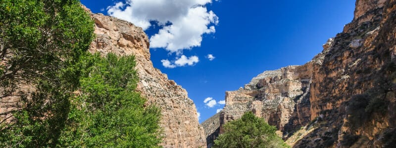 Bighorn National Forest