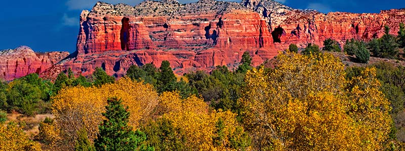 Coconino National Forest