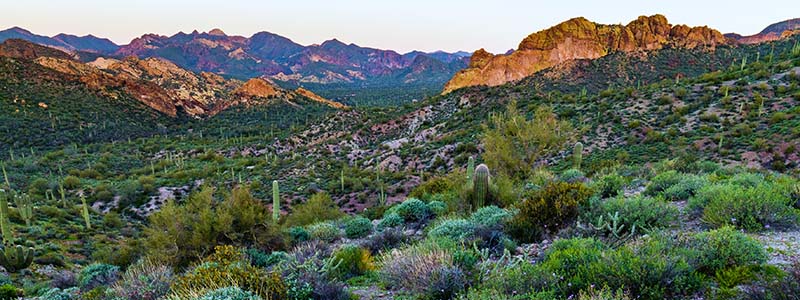 Tonto National Forest