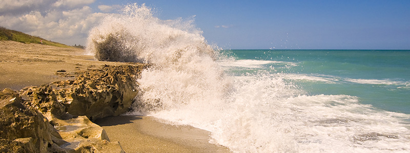 Blowing Rocks Preserve