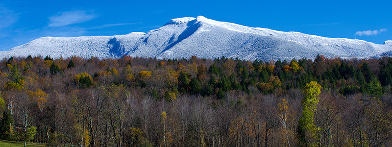 Gondola Skyride (Mount Mansfield)