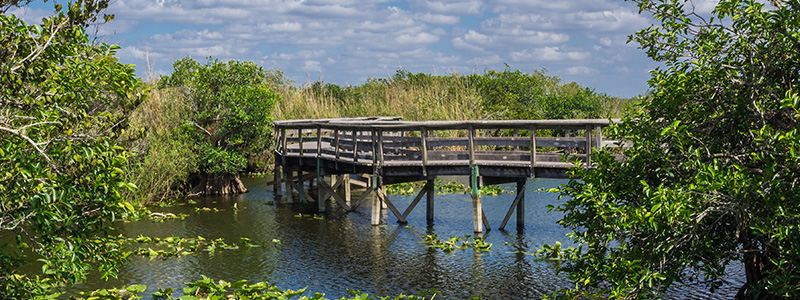 Everglades National Park