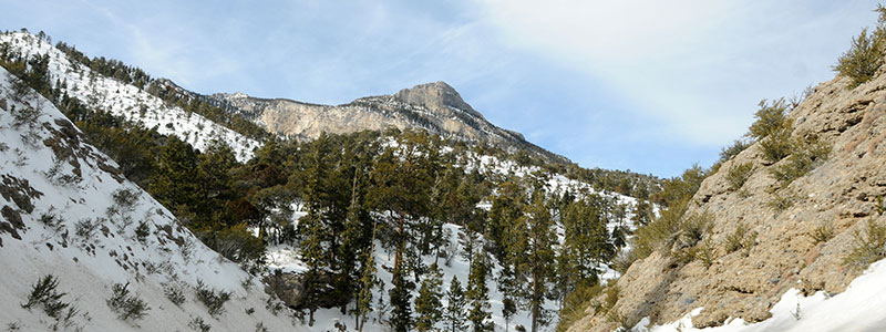 Mount Charleston