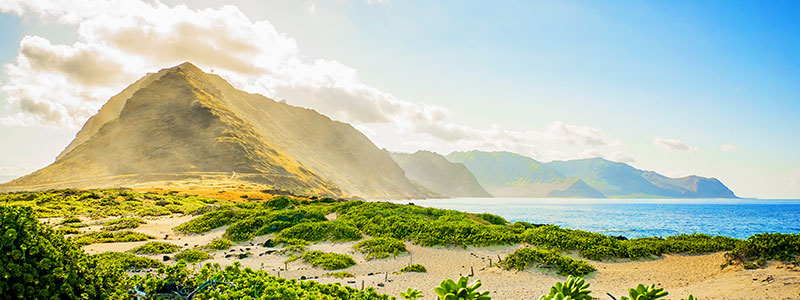 Ka’ena Point