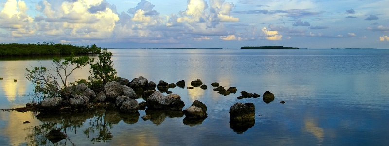 John Pennekamp Coral Reef State Park