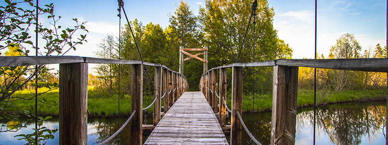 Hiawatha National Forest