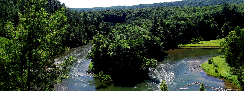 Huron-Manistee National Forest