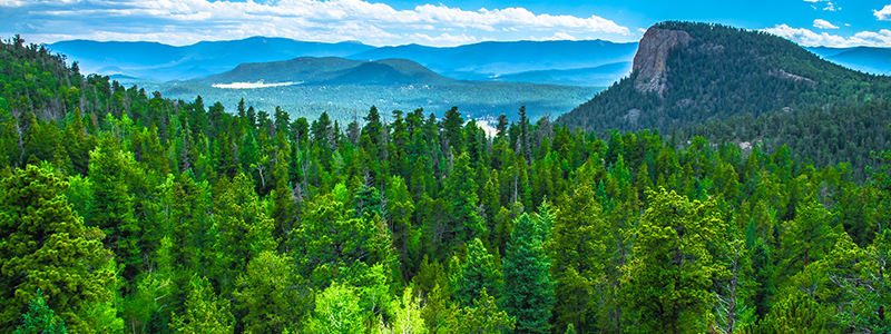 Staunton River State Park