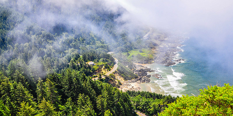 Siuslaw National Forest