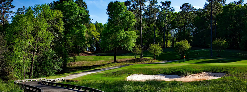 Magnolia Grove