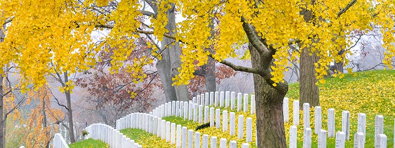 Arlington National Cemetery