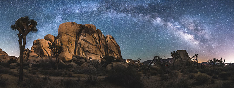 Joshua Tree National Park