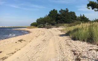 location de voiture à East Hampton