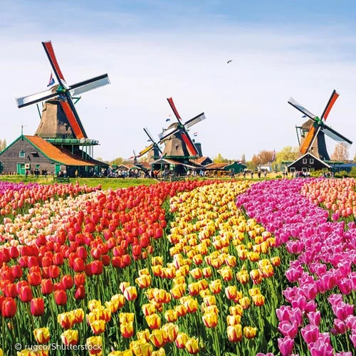 Pays-Bas: les meilleures escales de Monnickendam vers les célèbres moulins de Zaanse Schans