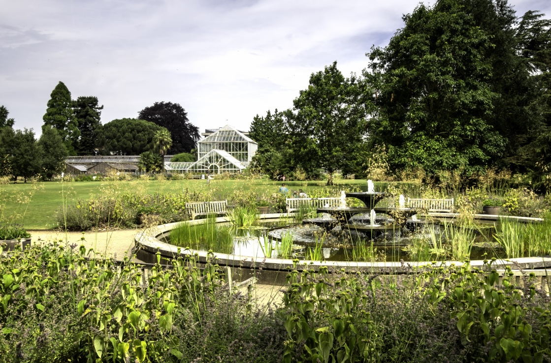 Cambridge botanic garden