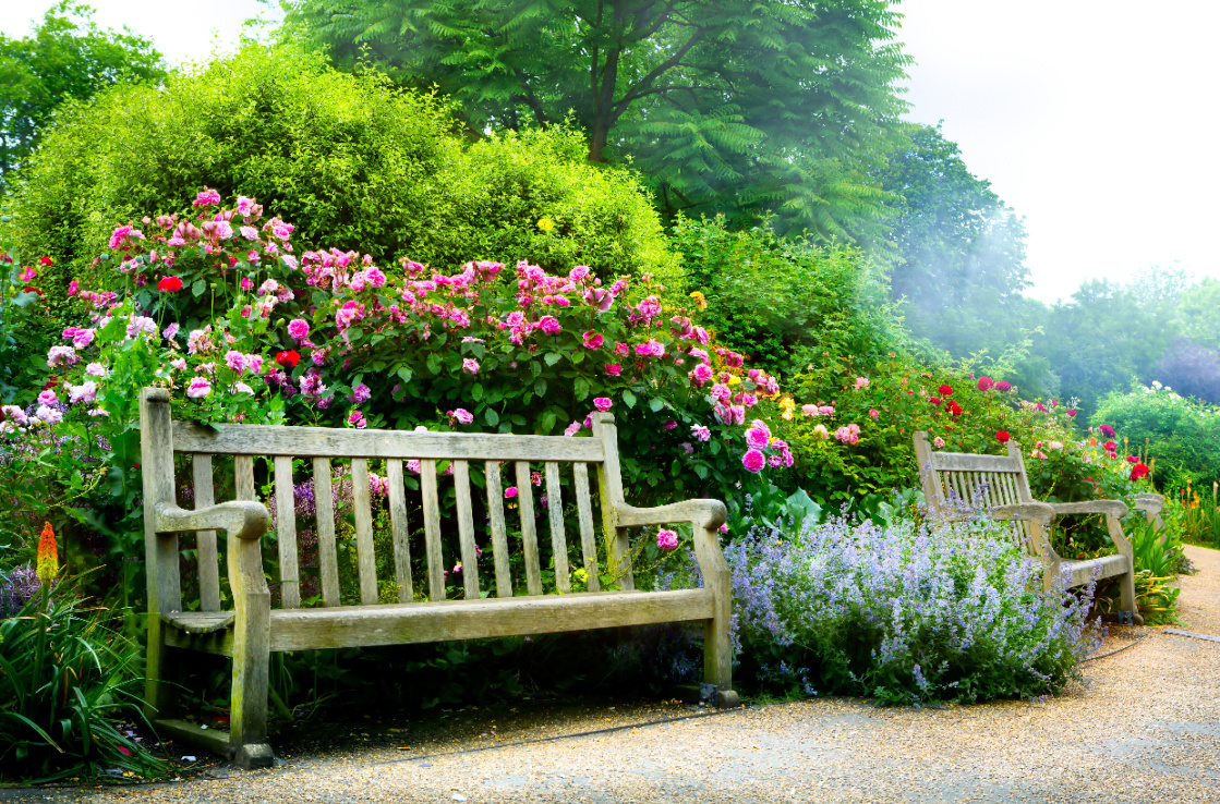 Goodnestone Park Gardens