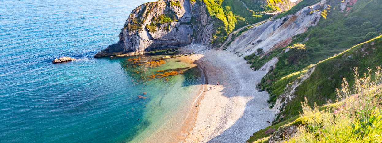 Fossil Coast Explores Chesil Beach Along the Jurassic Coast