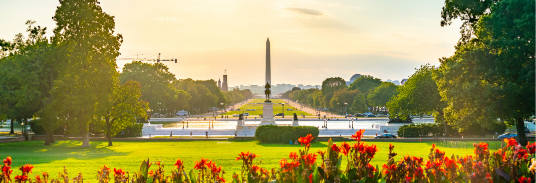 A quick guide to Washington D.C.