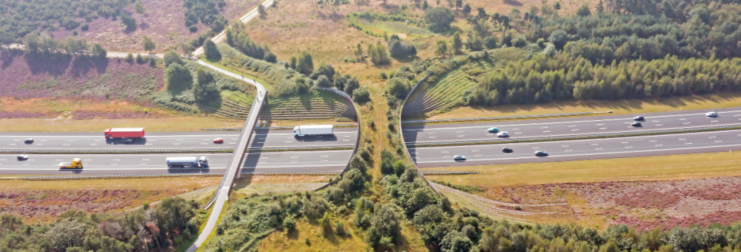 Driving in and around the Netherlands