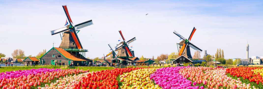 A quick guide to the Netherlands