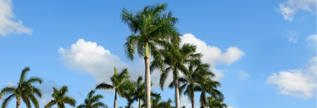 Driving in and around Boca Raton