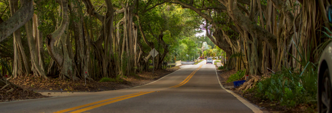 Driving in and around Stuart 