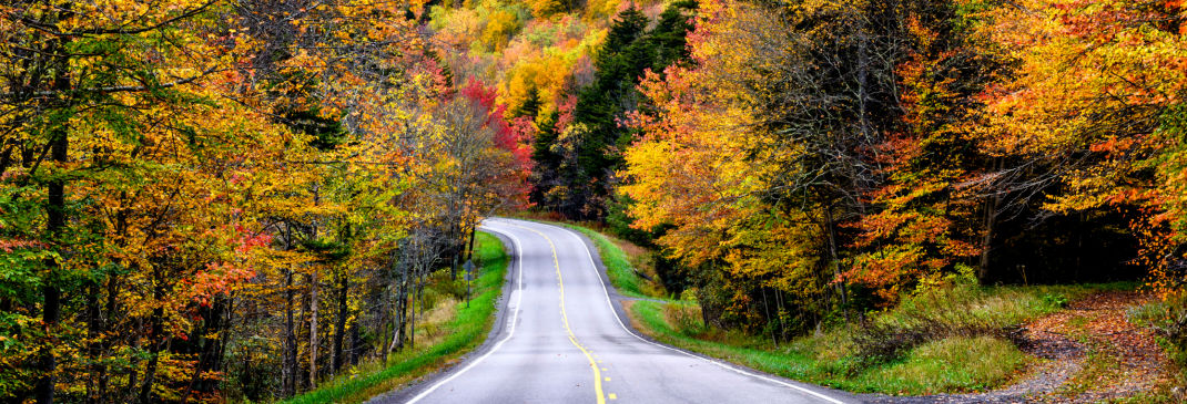 Driving in and around Martinsburg