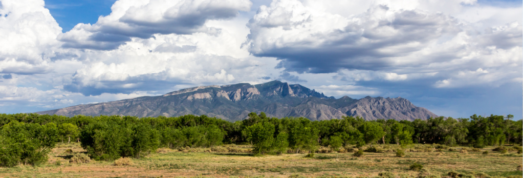 Hertz Car Rental Albuquerque New Mexico at Car Rental