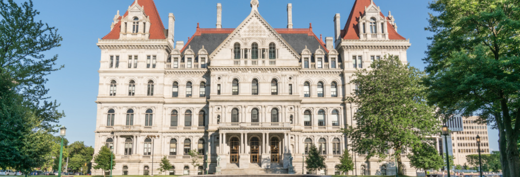 A quick guide to Albany and beyond