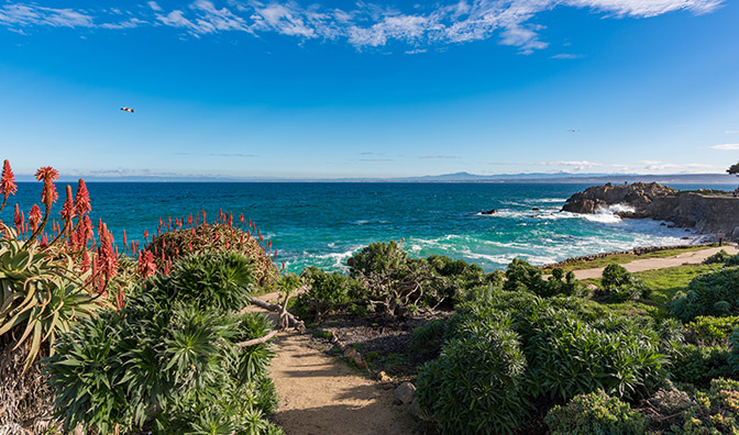 Monterey