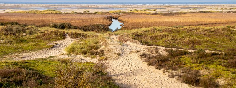 Polen / Borkum Island