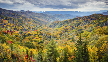 Take a breather in the spectacular Great Smoky Mountains.