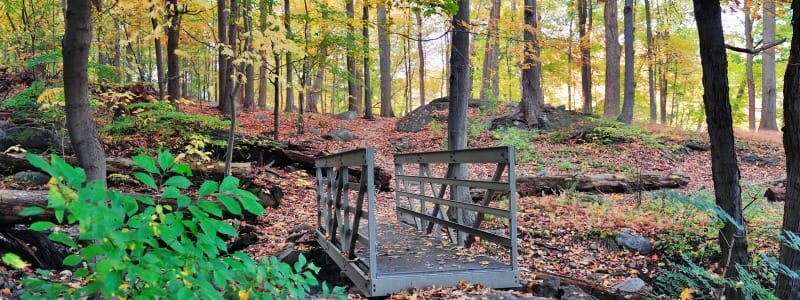 Trailside Museums & Zoo