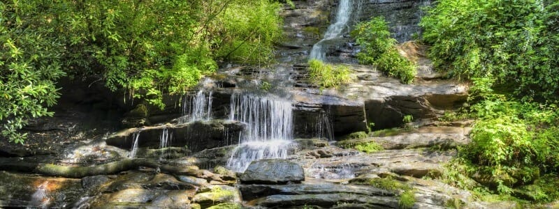 Parc National des Great Smoky Mountains