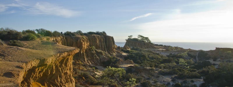 Torrey Pines State Natural Reserve