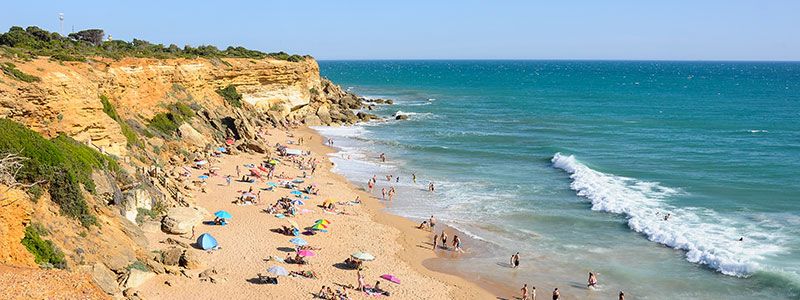 Surfing destinations: Conil de la Frontera - Son of a Beach