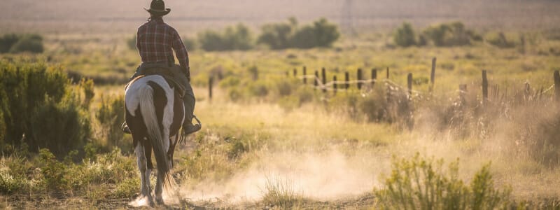 Ranch touristique de Silver Spur